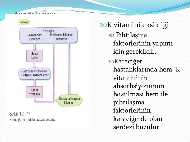 Aşırı kanamaya neden olan durumlar K vitamini eksikliği Pıhtılaşma faktörlerinin yapımı için gereklidir. Karaciğer