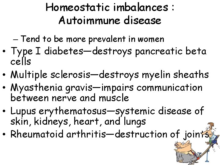 Homeostatic imbalances : Autoimmune disease – Tend to be more prevalent in women •