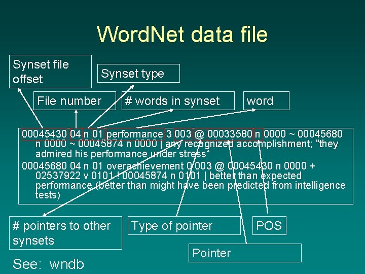 Word. Net data file Synset file offset Synset type File number # words in