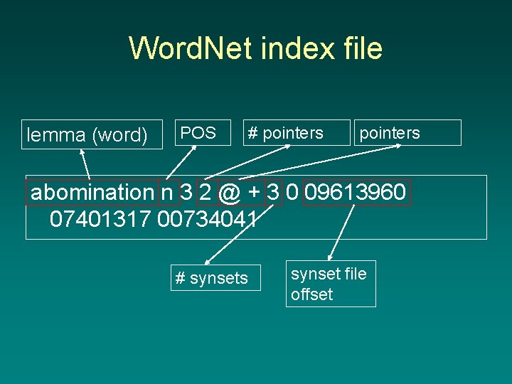 Word. Net index file lemma (word) POS # pointers abomination n 3 2 @