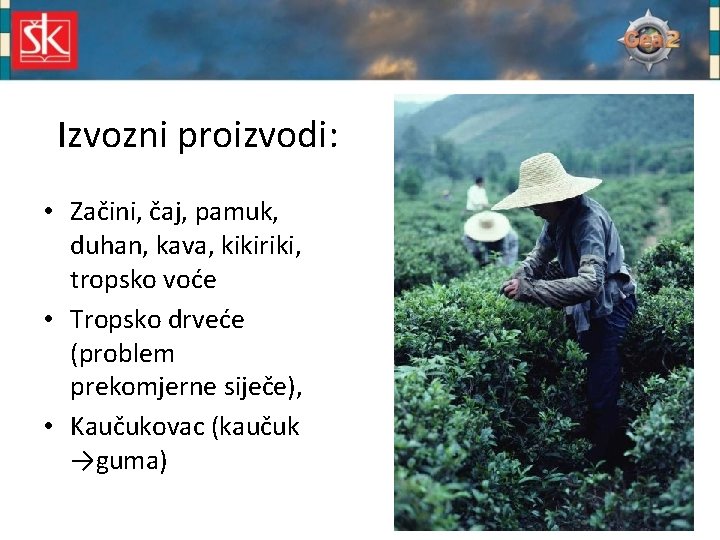 Izvozni proizvodi: • Začini, čaj, pamuk, duhan, kava, kikiriki, tropsko voće • Tropsko drveće