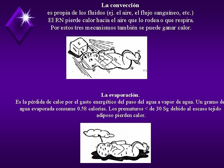 La convección es propia de los fluidos (ej. el aire, el flujo sanguíneo, etc.