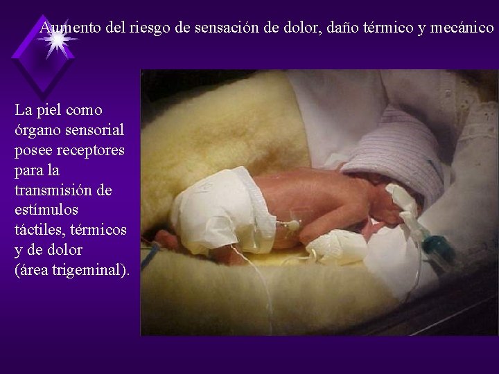 Aumento del riesgo de sensación de dolor, daño térmico y mecánico La piel como