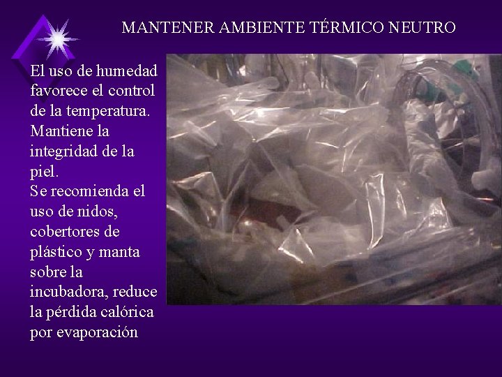 MANTENER AMBIENTE TÉRMICO NEUTRO El uso de humedad favorece el control de la temperatura.