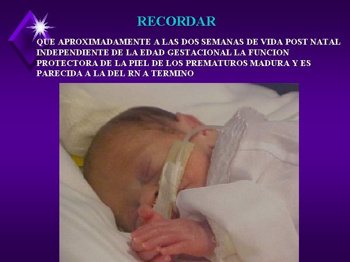 RECORDAR QUE APROXIMADAMENTE A LAS DOS SEMANAS DE VIDA POST NATAL INDEPENDIENTE DE LA