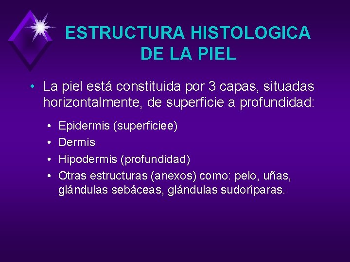 ESTRUCTURA HISTOLOGICA DE LA PIEL • La piel está constituida por 3 capas, situadas