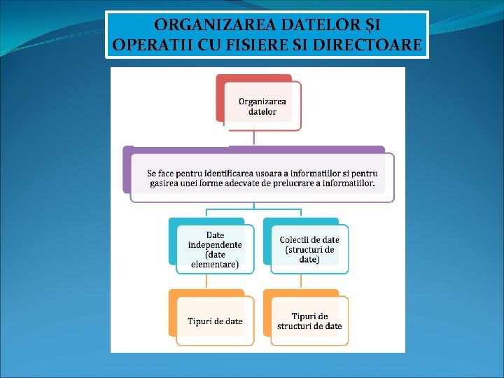 ORGANIZAREA DATELOR ȘI OPERATII CU FISIERE SI DIRECTOARE 