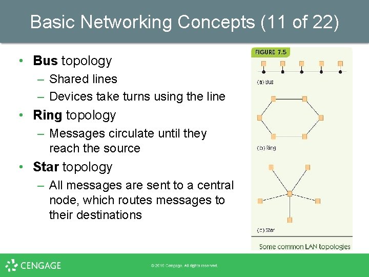 Basic Networking Concepts (11 of 22) • Bus topology – Shared lines – Devices