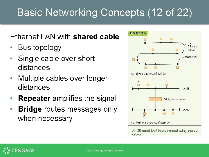 Basic Networking Concepts (12 of 22) Ethernet LAN with shared cable • Bus topology