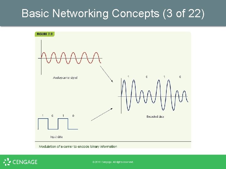 Basic Networking Concepts (3 of 22) 