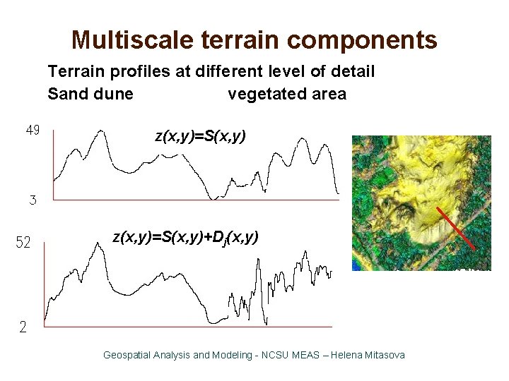 Multiscale terrain components Terrain profiles at different level of detail Sand dune vegetated area