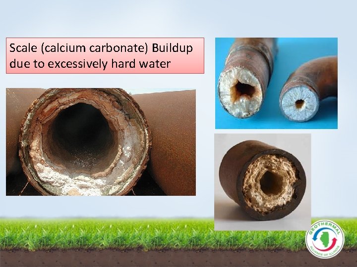 Scale (calcium carbonate) Buildup due to excessively hard water 