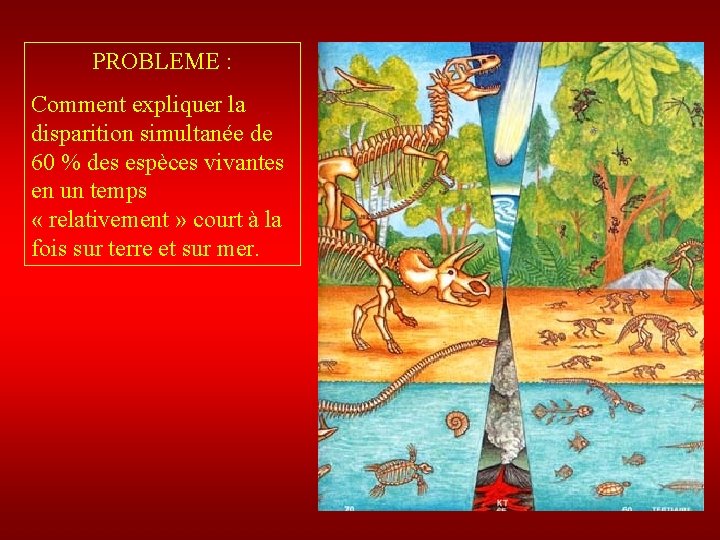 PROBLEME : Comment expliquer la disparition simultanée de 60 % des espèces vivantes en