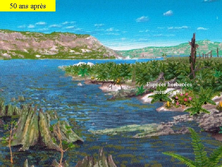 Une année après Une 50 jour ans semaine après Un avant laprès ’impact Obscurité