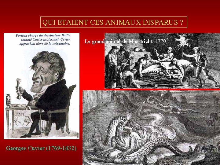 QUI ETAIENT CES ANIMAUX DISPARUS ? Le grand animal de Maastricht, 1770 Georges Cuvier