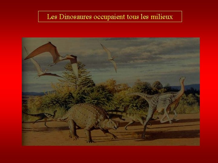 Les Dinosaures occupaient tous les milieux Ptérosaurien Atlascopcosaurus Ankylosaure Ornithomimosaure 