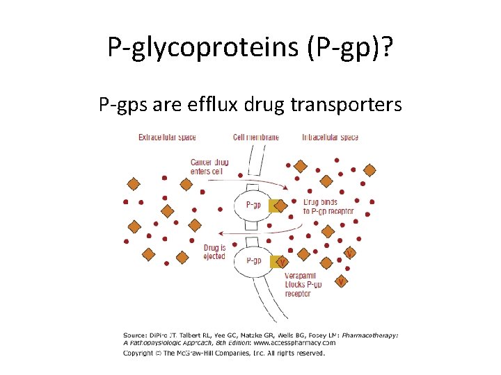 P-glycoproteins (P-gp)? P-gps are efflux drug transporters 