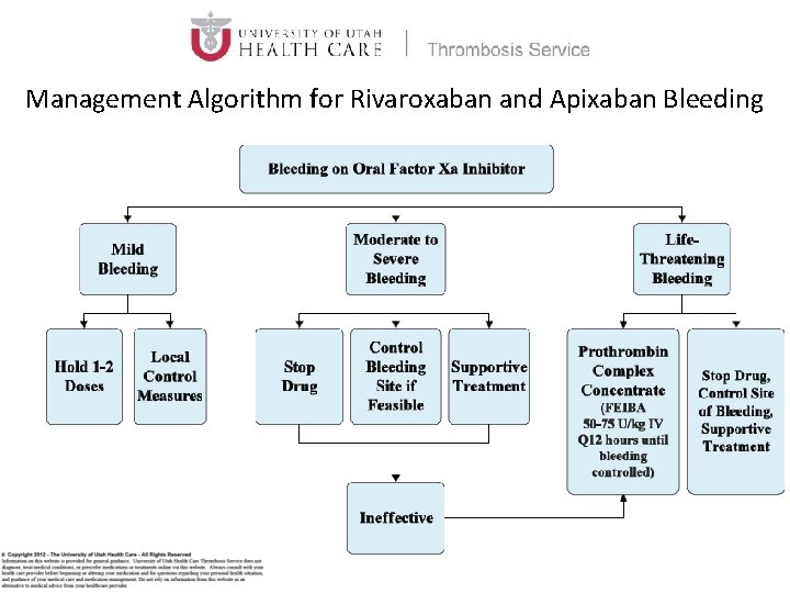 Management Algorithm for Rivaroxaban and Apixaban Bleeding 