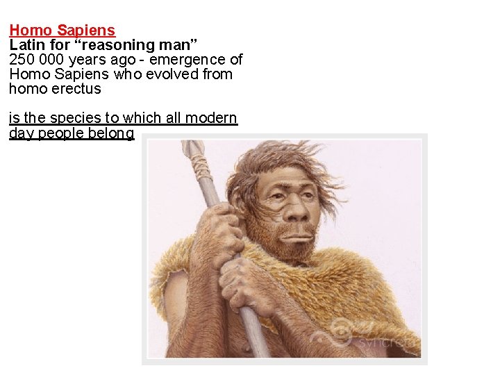 Homo Sapiens Latin for “reasoning man” 250 000 years ago - emergence of Homo