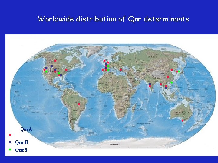 Worldwide distribution of Qnr determinants Qnr. A Qnr. B Qnr. S 