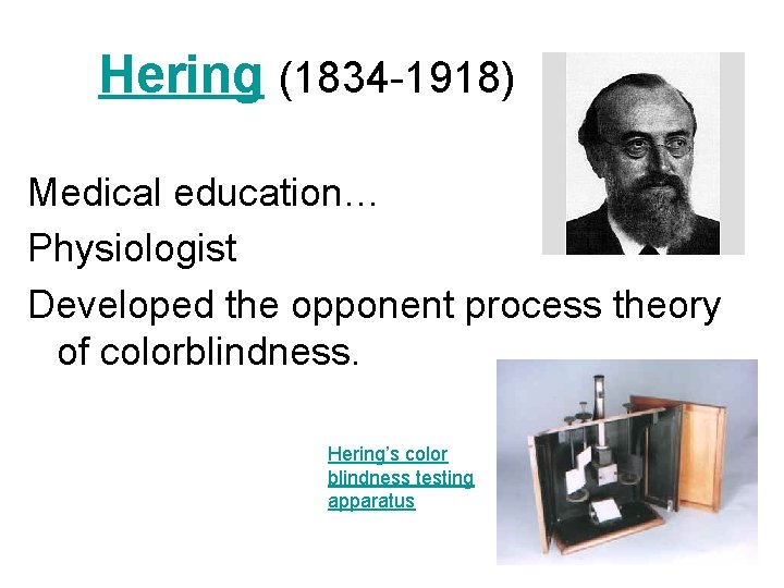 Hering (1834 -1918) Medical education… Physiologist Developed the opponent process theory of colorblindness. Hering’s