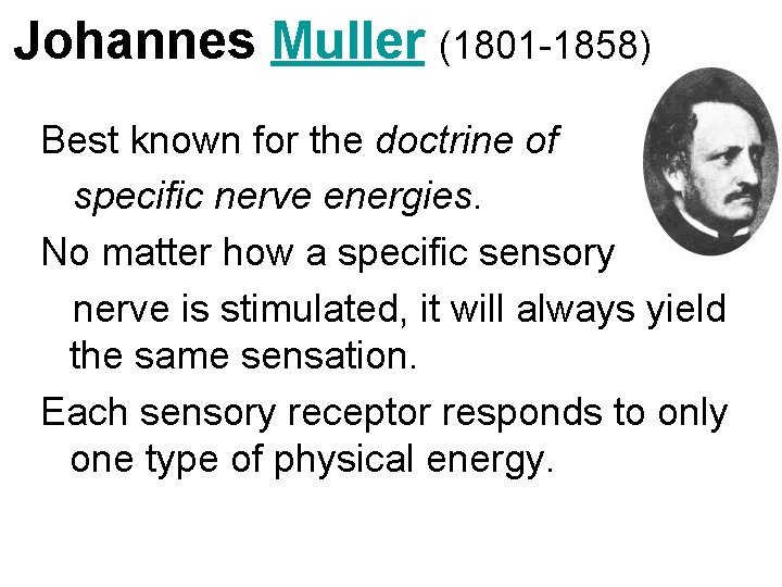 Johannes Muller (1801 -1858) Best known for the doctrine of specific nerve energies. No