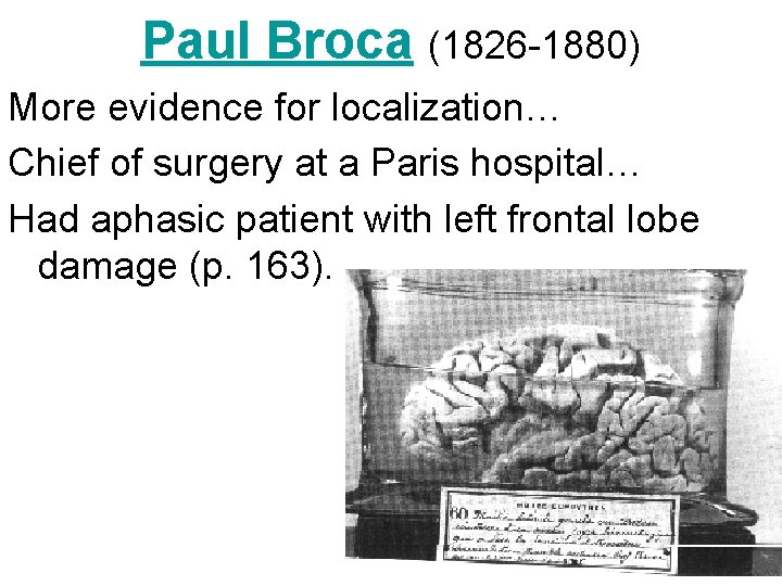Paul Broca (1826 -1880) More evidence for localization… Chief of surgery at a Paris
