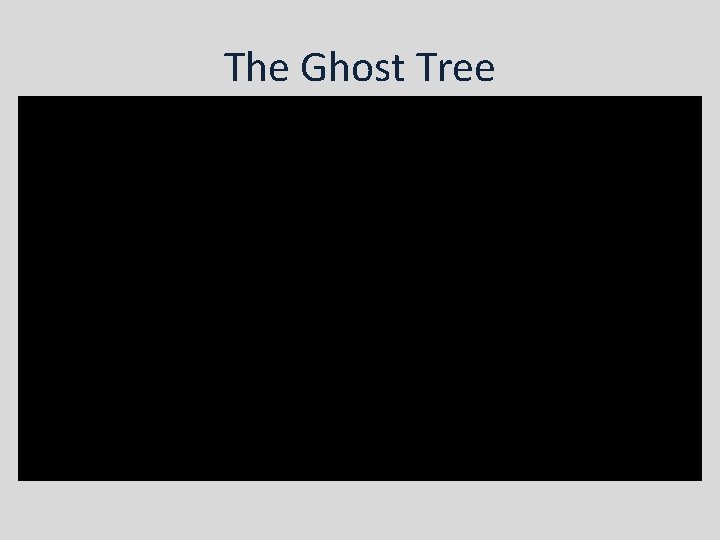 The Ghost Tree 