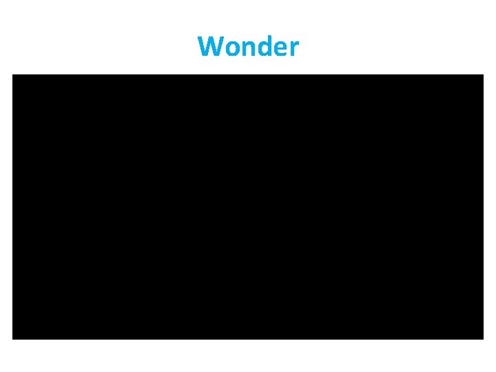 Wonder 