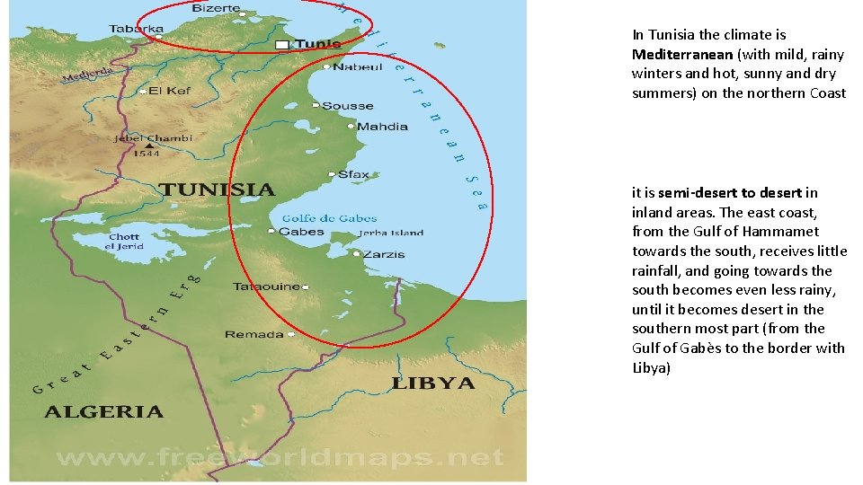 In Tunisia the climate is Mediterranean (with mild, rainy winters and hot, sunny and