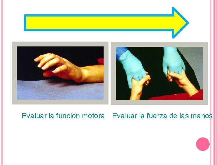 Evaluar la función motora Evaluar la fuerza de las manos 