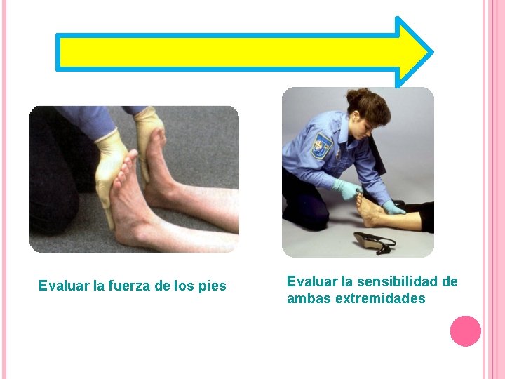 Evaluar la fuerza de los pies Evaluar la sensibilidad de ambas extremidades 