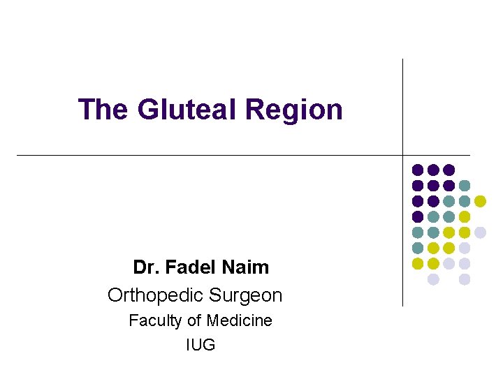 The Gluteal Region Dr. Fadel Naim Orthopedic Surgeon Faculty of Medicine IUG 