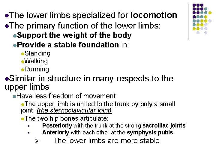 l. The lower limbs specialized for locomotion l. The primary function of the lower