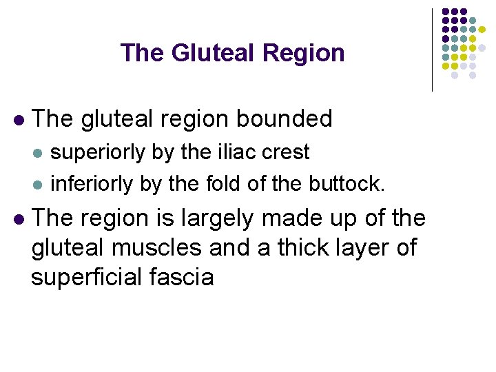 The Gluteal Region l The gluteal region bounded l l l superiorly by the