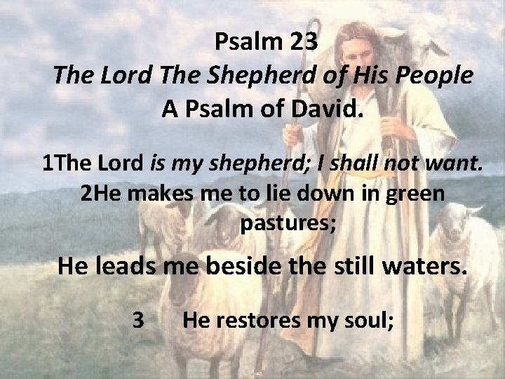 Psalm 23 The Lord The Shepherd of His People A Psalm of David. 1