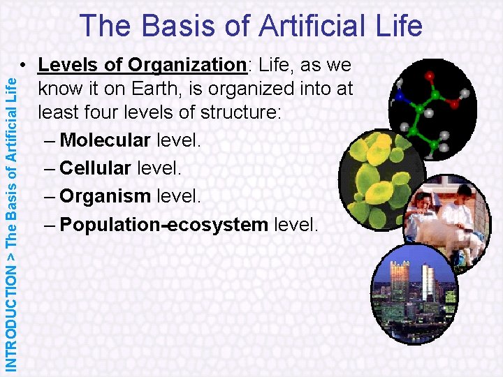 The Basis of Artificial Life INTRODUCTION > The Basis of Artificial Life • Levels