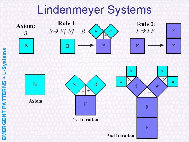 EMERGENT PATTERNS > L-Systems Lindenmeyer Systems 