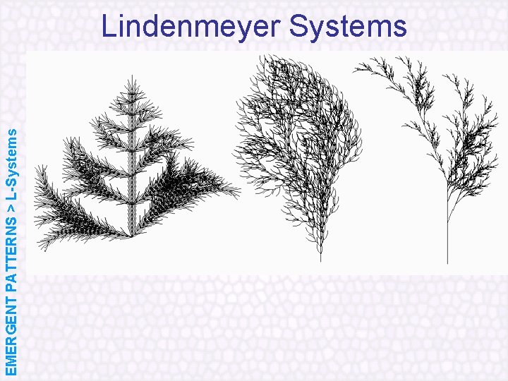 EMERGENT PATTERNS > L-Systems Lindenmeyer Systems 