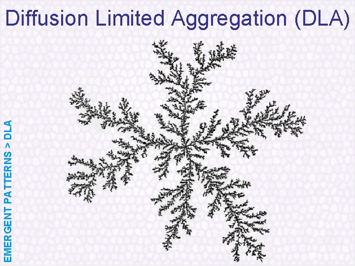 EMERGENT PATTERNS > DLA Diffusion Limited Aggregation (DLA) 