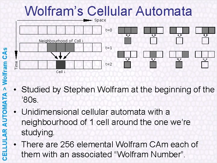 CELLULAR AUTOMATA > Wolfram CAs Wolfram’s Cellular Automata • Studied by Stephen Wolfram at