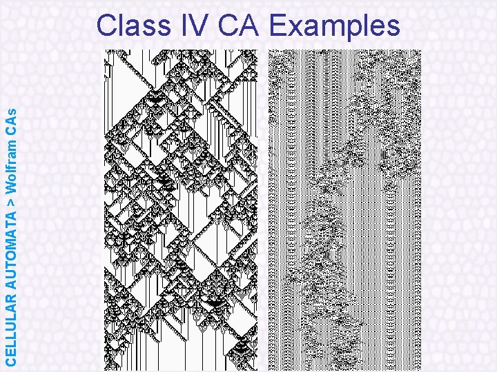 CELLULAR AUTOMATA > Wolfram CAs Class IV CA Examples 