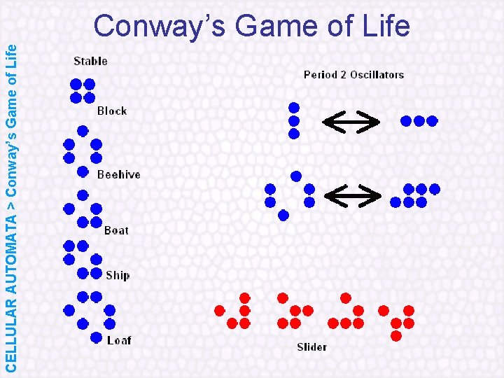 CELLULAR AUTOMATA > Conway’s Game of Life 