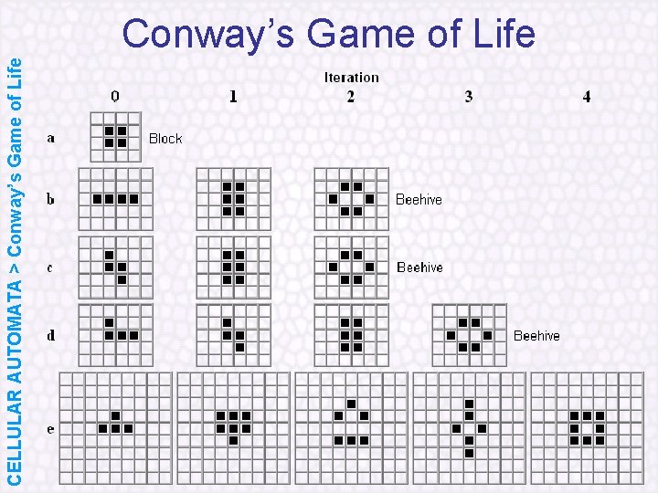 CELLULAR AUTOMATA > Conway’s Game of Life 