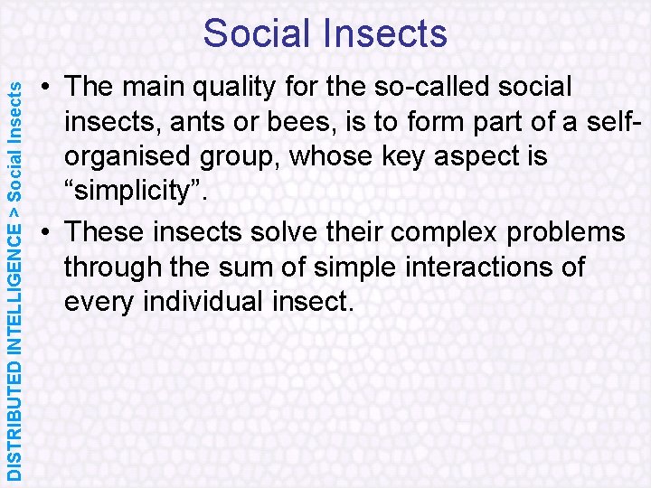 DISTRIBUTED INTELLIGENCE > Social Insects • The main quality for the so called social