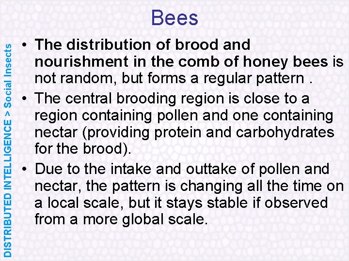 DISTRIBUTED INTELLIGENCE > Social Insects Bees • The distribution of brood and nourishment in