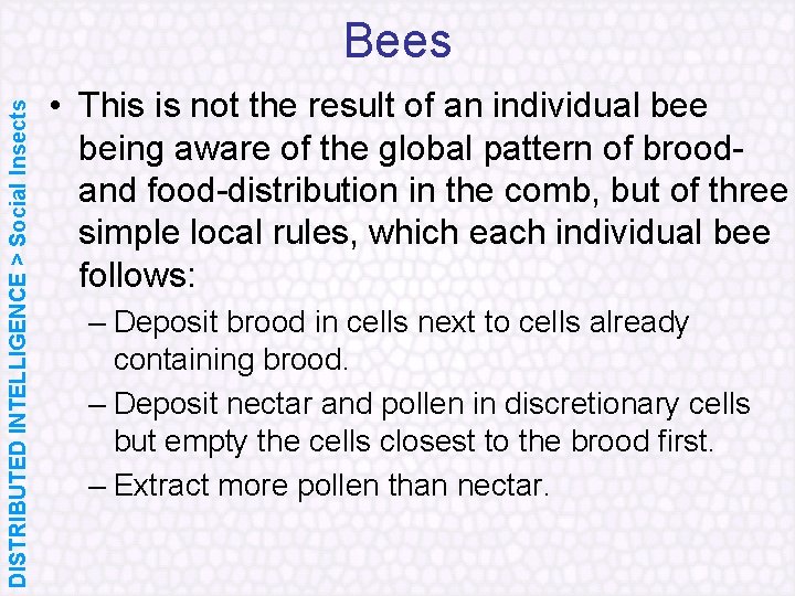 DISTRIBUTED INTELLIGENCE > Social Insects Bees • This is not the result of an
