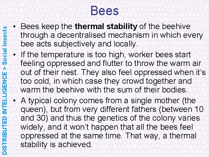 DISTRIBUTED INTELLIGENCE > Social Insects Bees • Bees keep thermal stability of the beehive