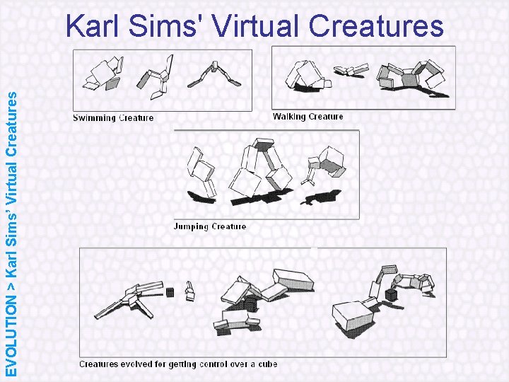 EVOLUTION > Karl Sims’ Virtual Creatures Karl Sims' Virtual Creatures 