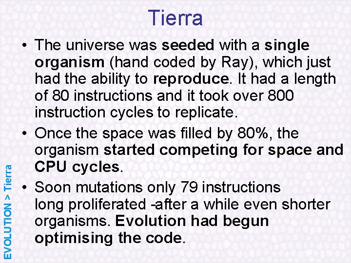 EVOLUTION > Tierra • The universe was seeded with a single organism (hand coded